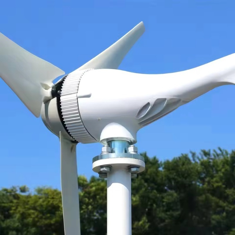 초저가 풍력 발전기 1000w 12v 24v 재생 에너 - Renewable Energy Price 리뷰 및 가격